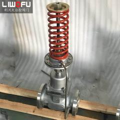 自力式壓力調(diào)節(jié)閥：科技引領(lǐng)，壓力控制新篇章